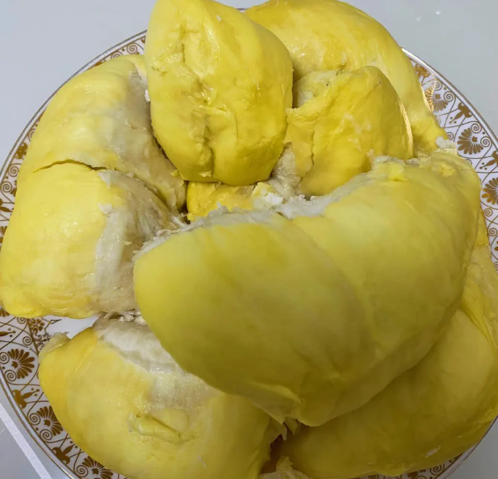 树上熟金枕榴莲真实的样子