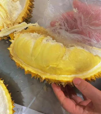榴莲小吃改造计划开启！天天榴恋让世界爱上榴莲味