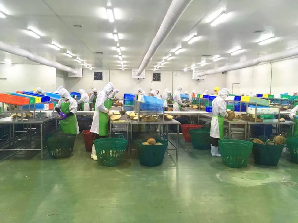 定制 高质保量、定制生产